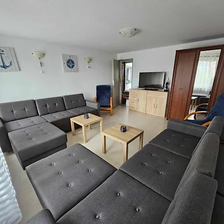 Rosa Мендзыздрое